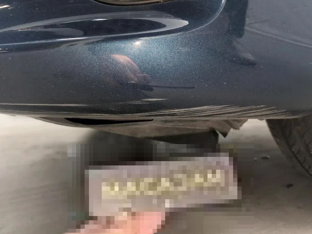Vastgestelde schade