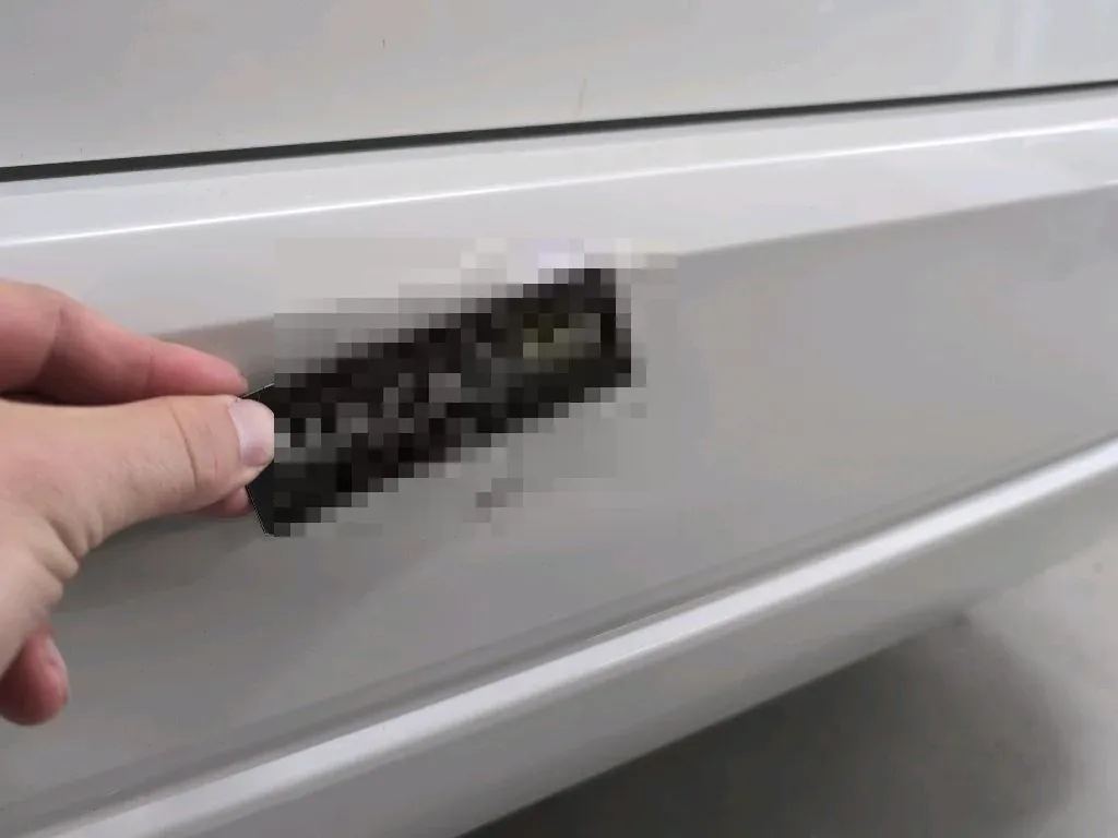 Vastgestelde schade