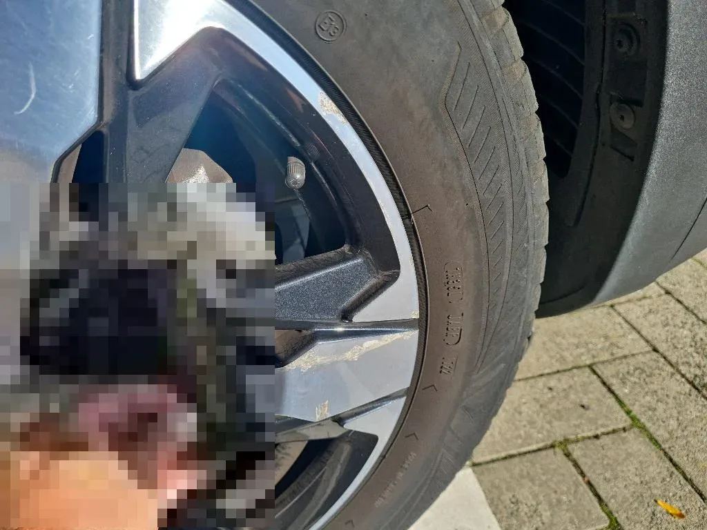 Reported damage