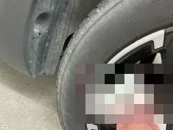 Vastgestelde schade