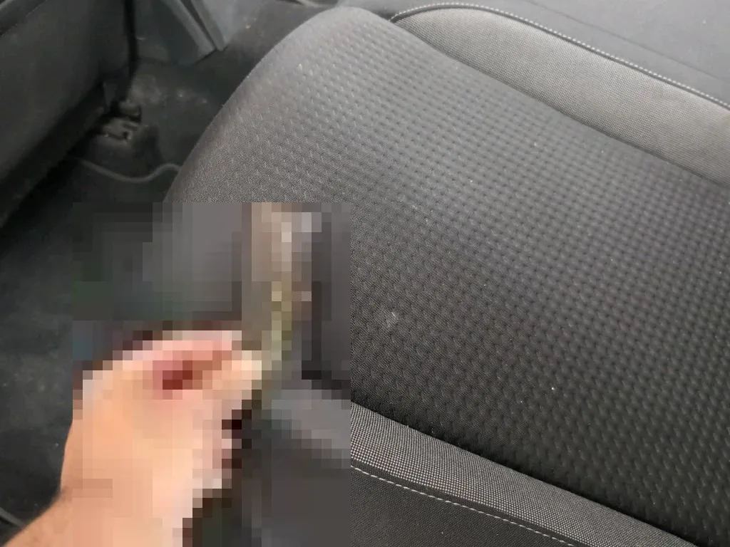 Reported damage
