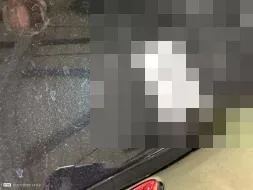 Reported damage