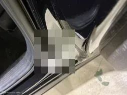 Reported damage