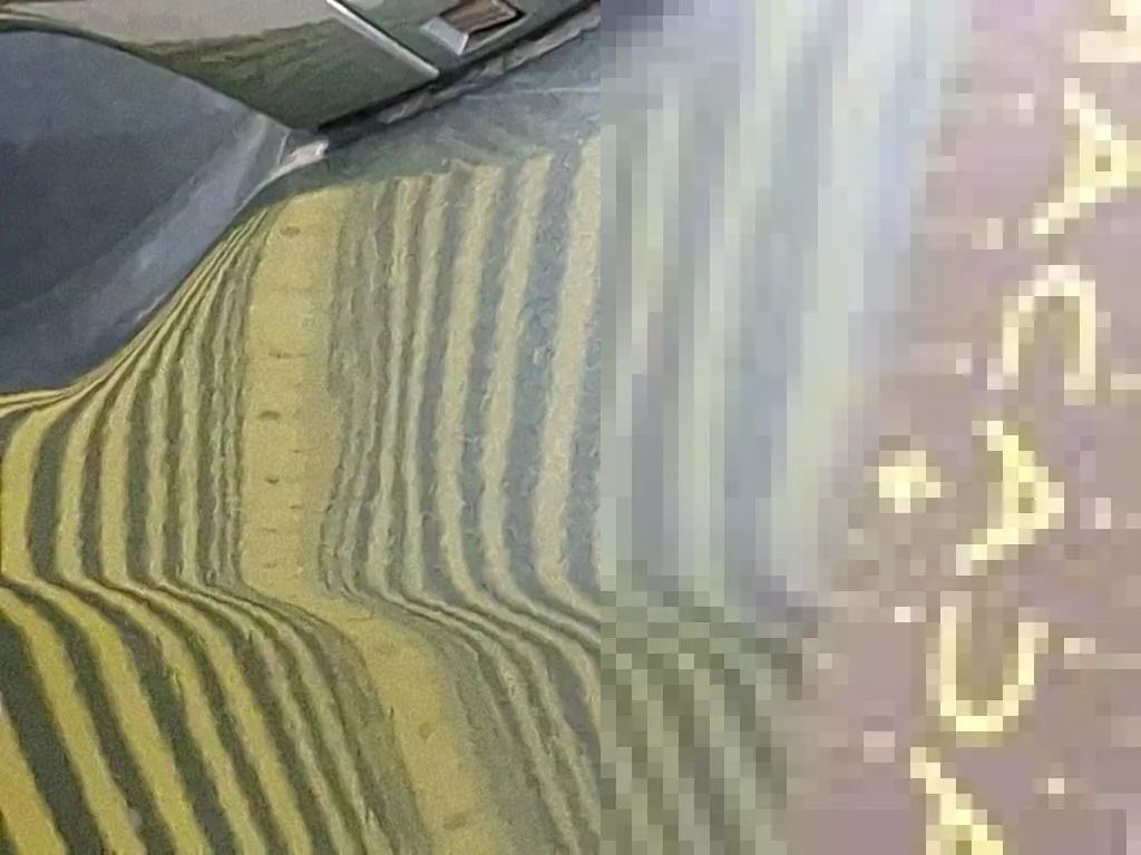 Vastgestelde schade