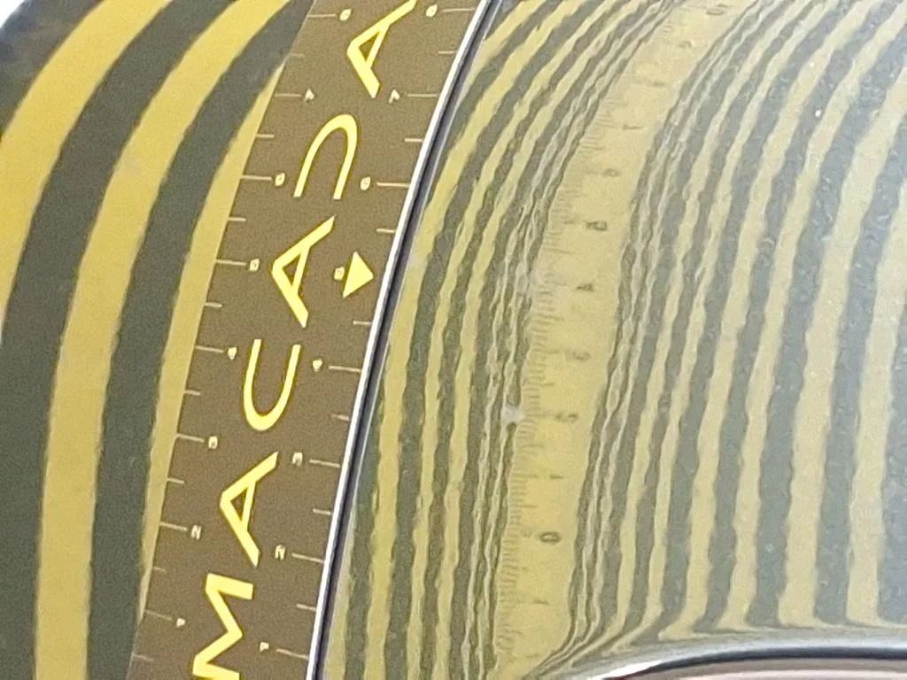 Vastgestelde schade
