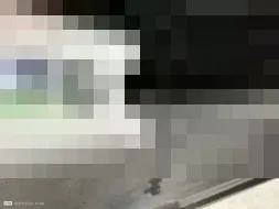 Vastgestelde schade