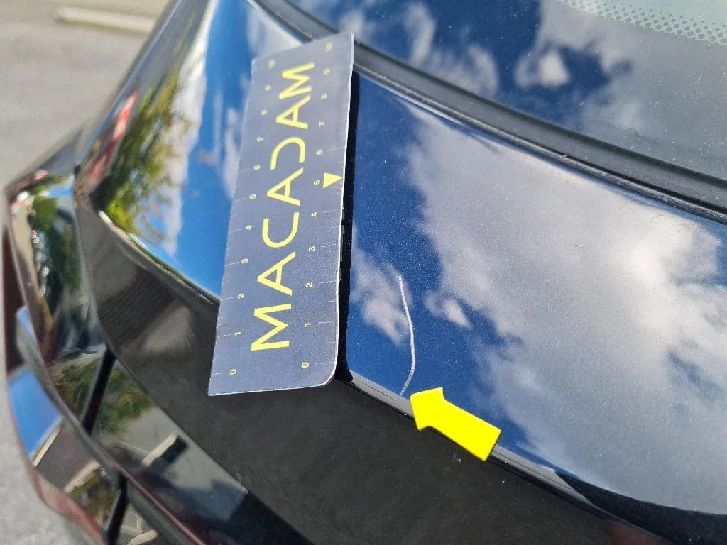 Vastgestelde schade