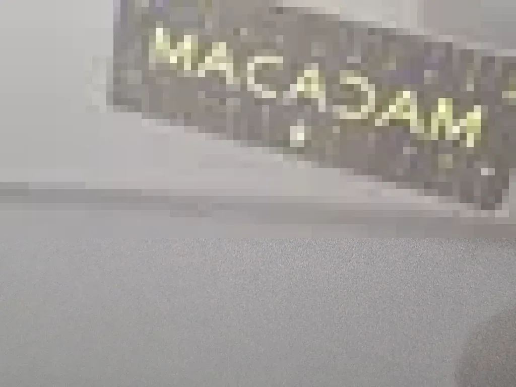 Vastgestelde schade