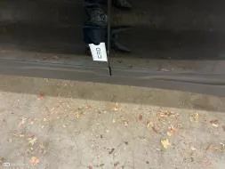 Reported damage