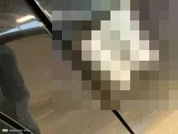 Reported damage