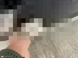 Reported damage
