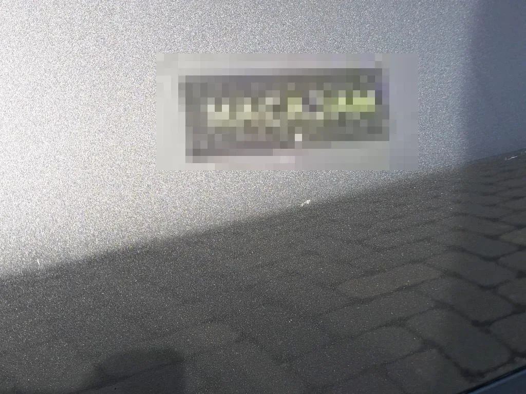 Vastgestelde schade