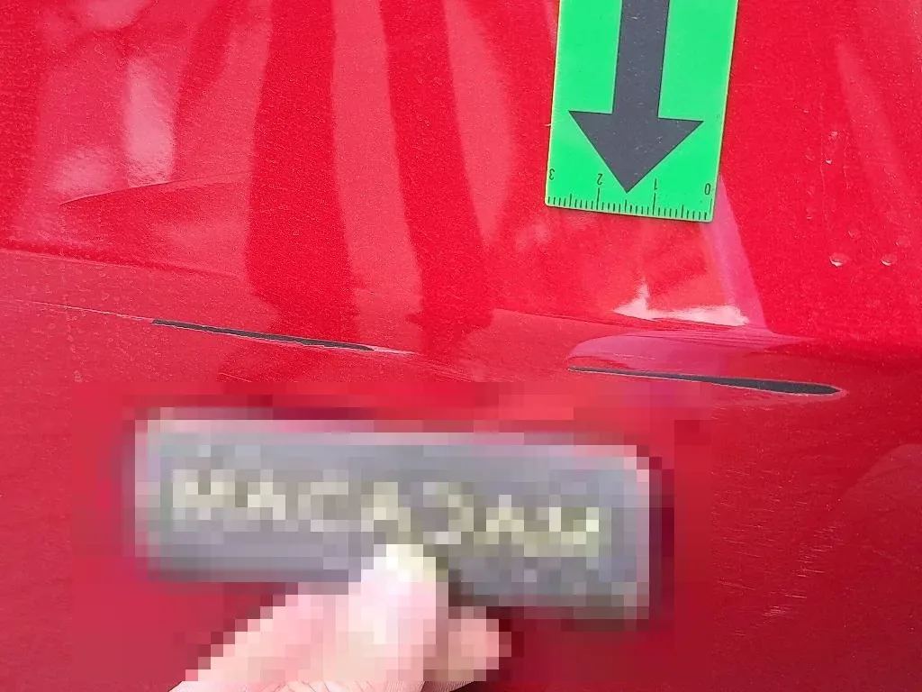 Vastgestelde schade