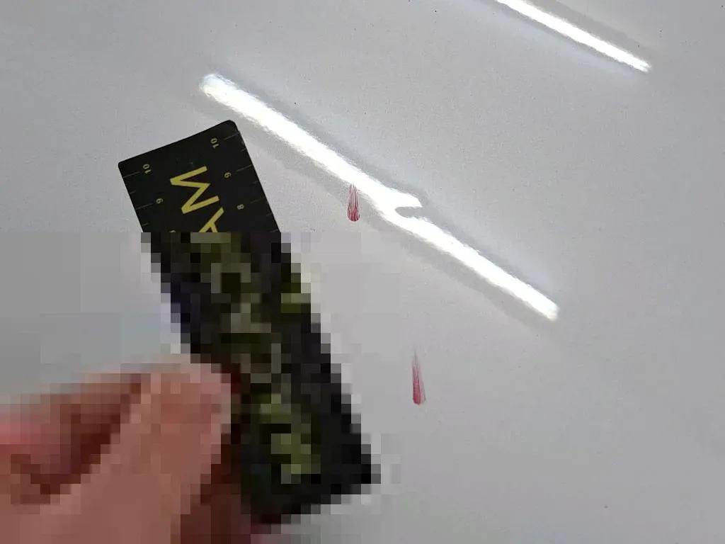 Vastgestelde schade