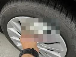 Reported damage
