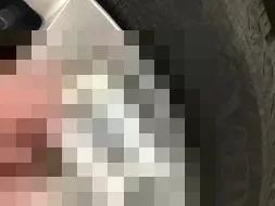Vastgestelde schade