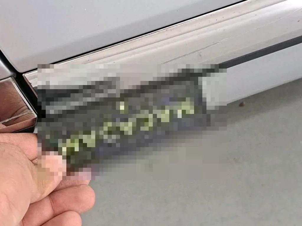 Reported damage