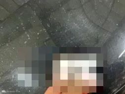 Reported damage