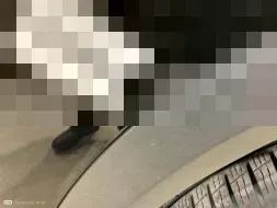 Reported damage