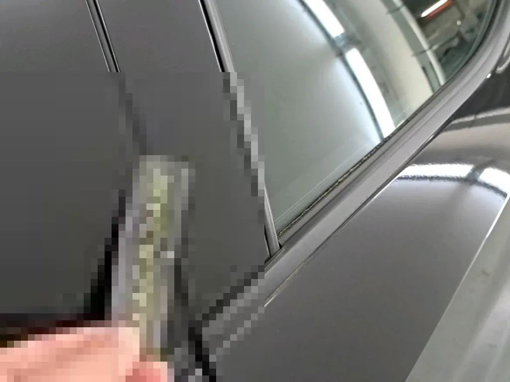 Vastgestelde schade