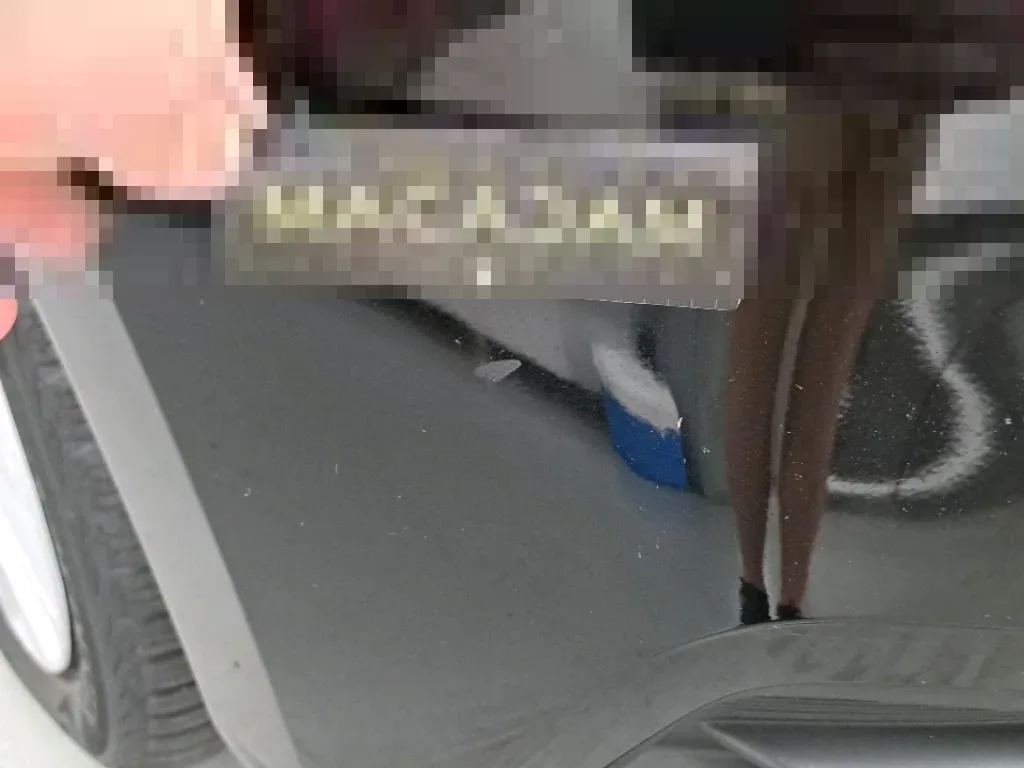 Vastgestelde schade
