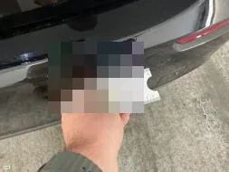 Reported damage