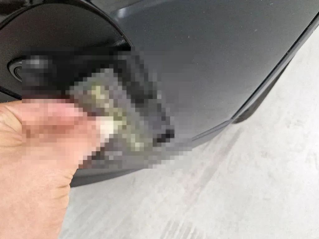 Reported damage
