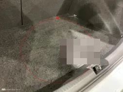 Reported damage