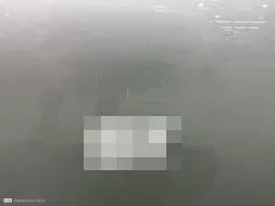 Reported damage