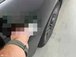 Reported damage