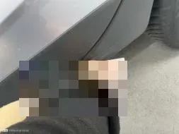 Dommages constatés