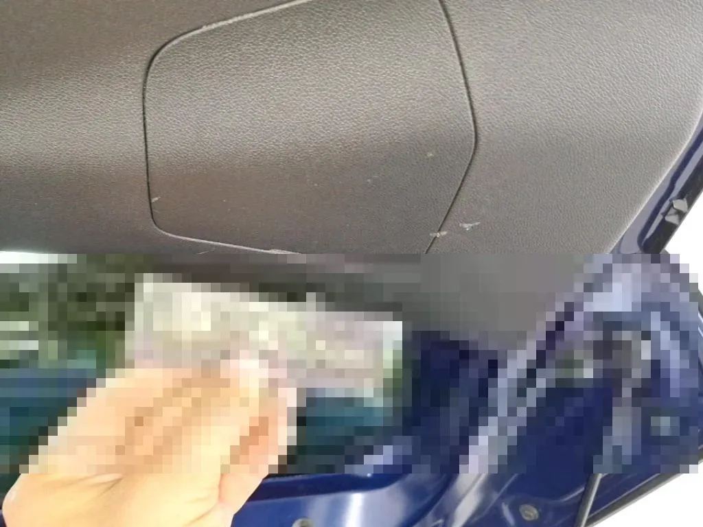 Vastgestelde schade