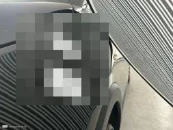 Reported damage