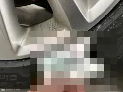 Reported damage