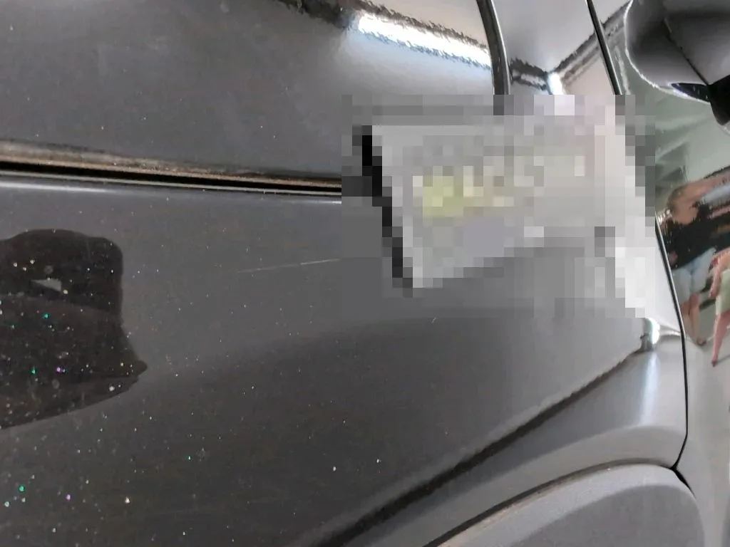 Vastgestelde schade