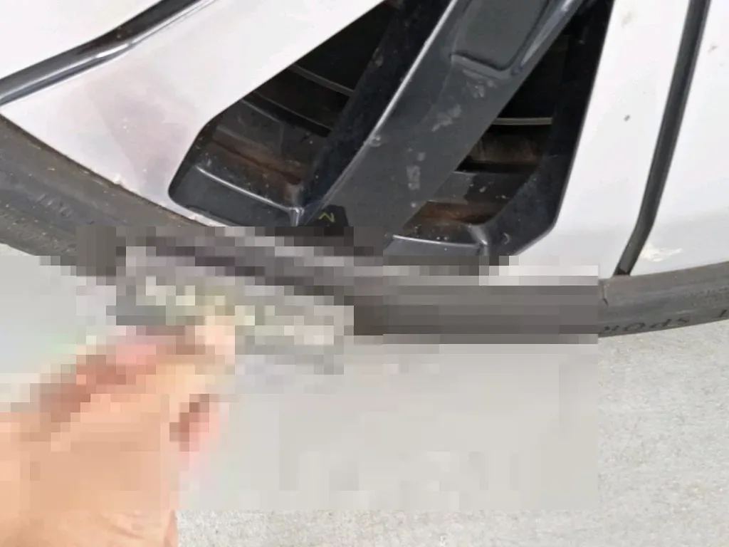 Reported damage