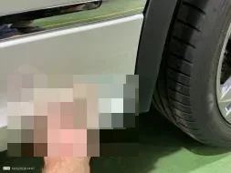 Reported damage