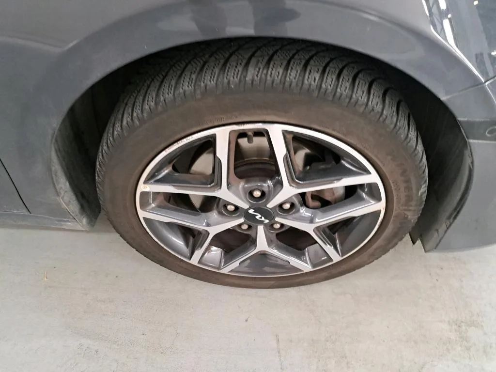 Reported damage