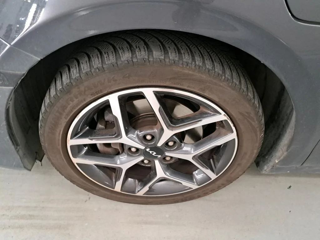Reported damage