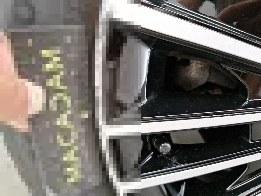 Vastgestelde schade