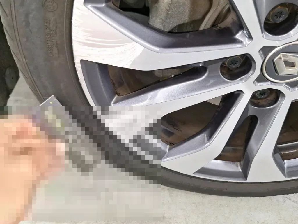 Vastgestelde schade