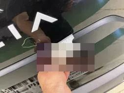 Reported damage