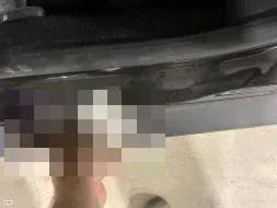 Reported damage