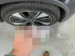 Reported damage