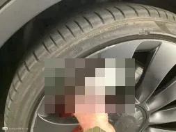 Vastgestelde schade