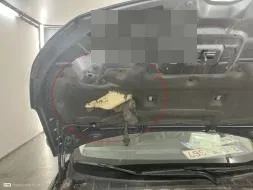 Reported damage