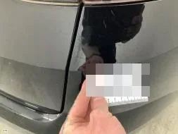 Reported damage