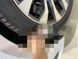 Reported damage