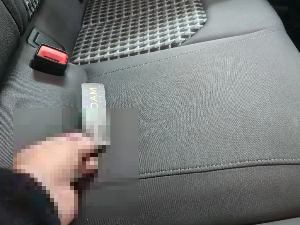 Vastgestelde schade