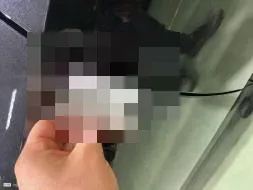 Reported damage
